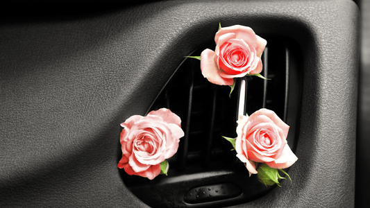 The Impact of Fragrance on Mood: Creating the Perfect Driving Atmosphere
